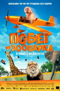 Побег из зоопарка Побег из зоопарка