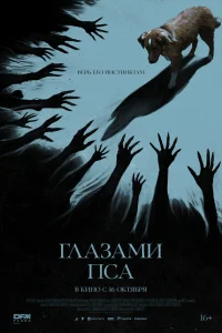 Глазами пса Глазами пса